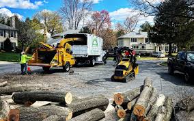 Best Tree Trimming and Pruning  in Desoto, TX